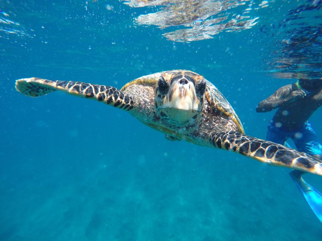 Maldives Seashine Ξενοδοχείο Huraa Εξωτερικό φωτογραφία
