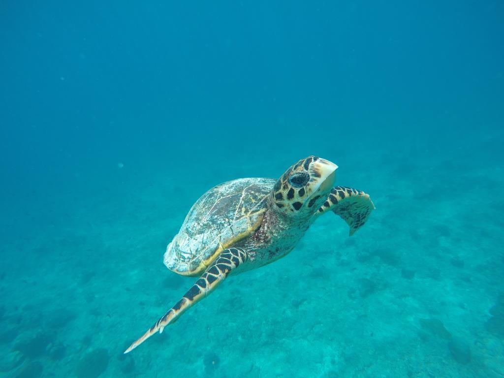 Maldives Seashine Ξενοδοχείο Huraa Εξωτερικό φωτογραφία