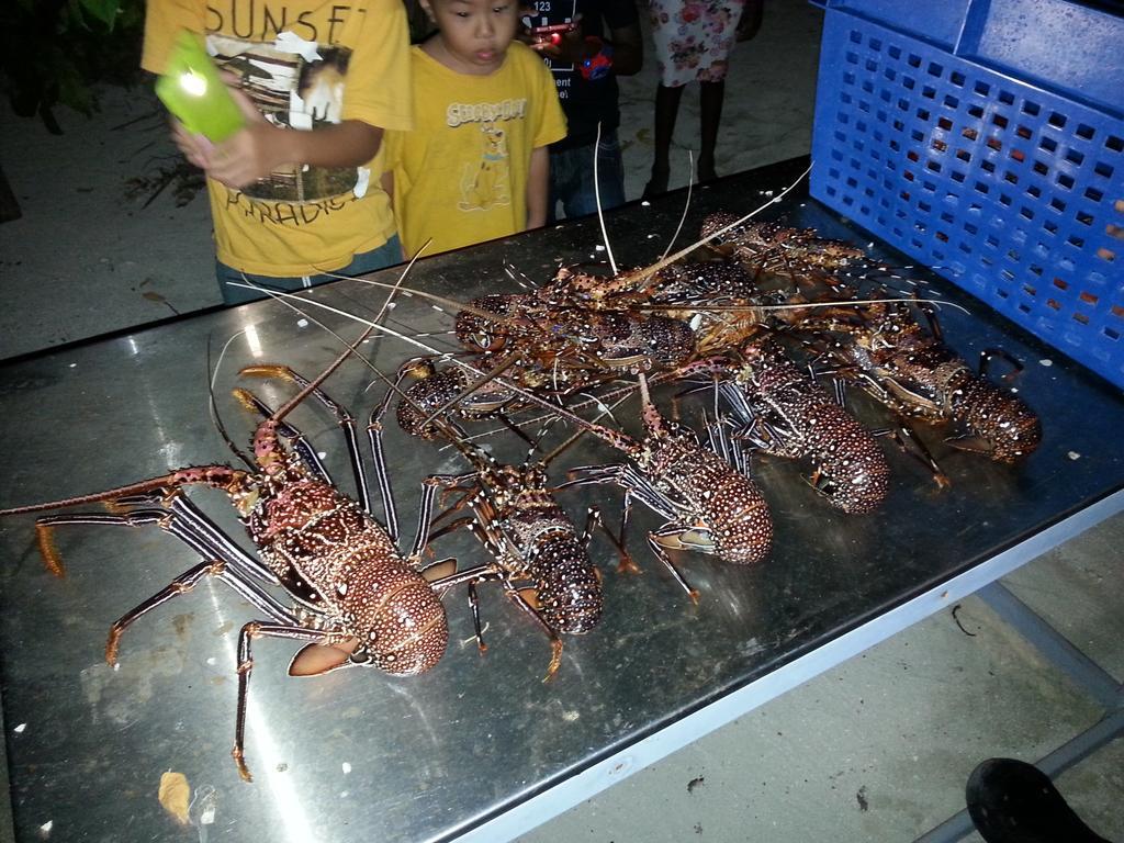 Maldives Seashine Ξενοδοχείο Huraa Εξωτερικό φωτογραφία